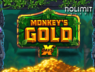 Monkeys Gold Xpays screenshot